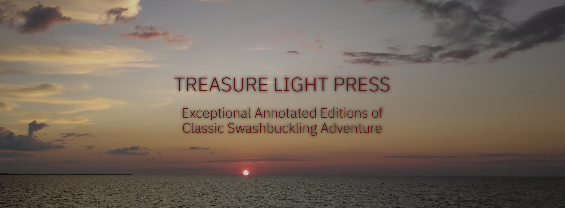 Treasure Light Press Banner
